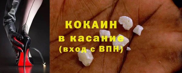 ECSTASY Богородицк
