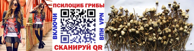 наркотики  Нариманов  Галлюциногенные грибы Cubensis 